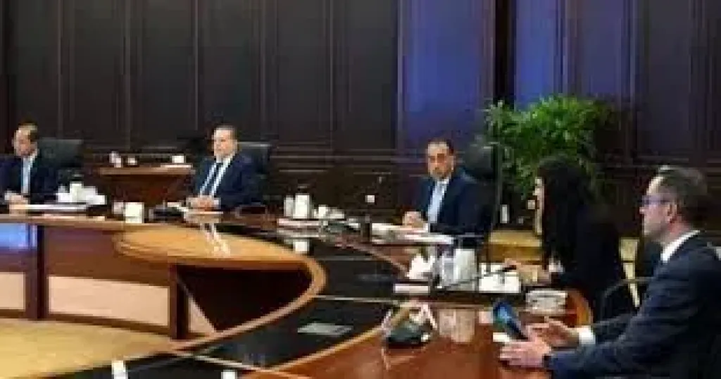مجلس الوزراء: خطة شاملة بتوقيتات ومواعيد تغطية احتياجاتنا من الموارد الدولارية