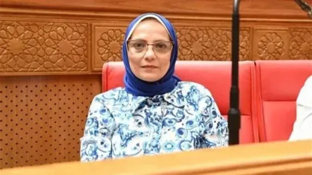نجلاء العسيلي: نندّد بالوقفات الإخوانية الإرهابية التي تتآمر على مصر