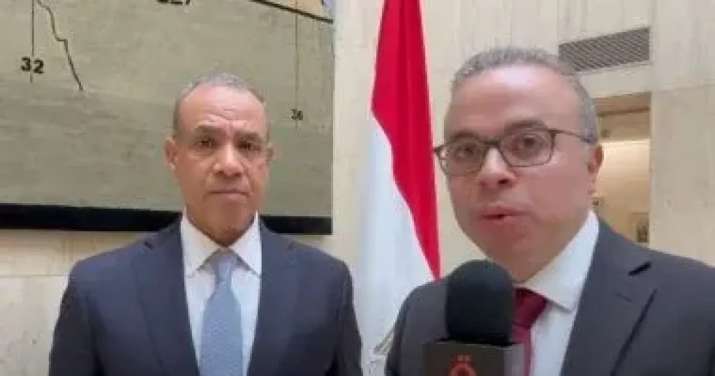 وزير الخارجية عن انتخابات الشيوخ: على كل مصرى ممارسة حقه فى رسم مستقبل الوطن