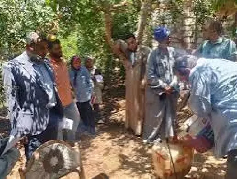 وزير الزراعة: إجراءات فورية وعاجلة لدعم مزارعي الرمان بالبدارى