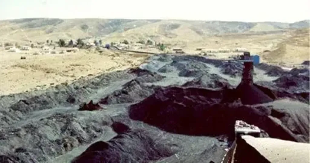 شرطة جنوب أفريقيا تلقي القبض على نحو ألف عامل في عملية تعدين غير قانونية