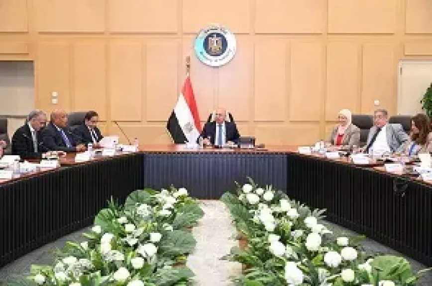 مصر تتجه لتوطين صناعة صاج السيارات.. لأول مرة