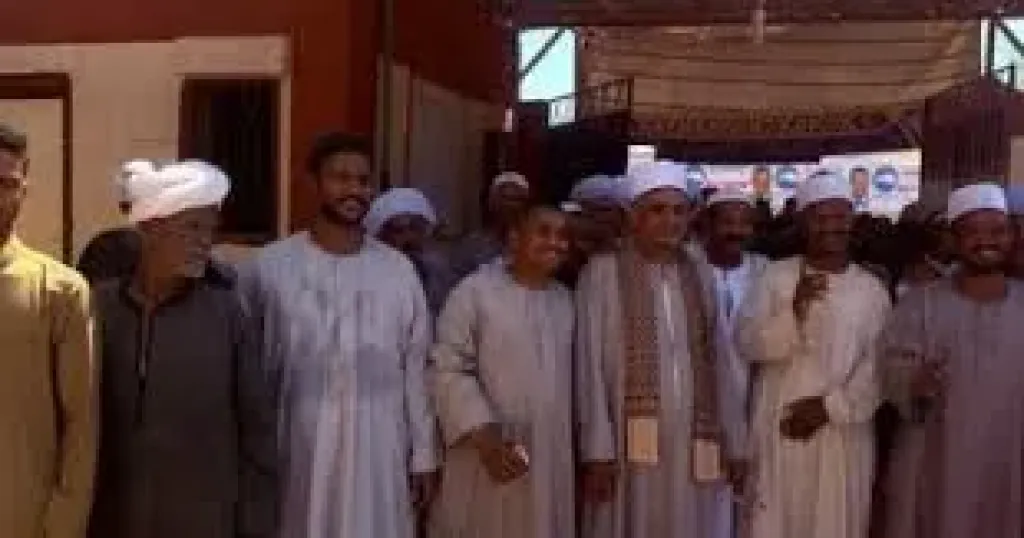 إقبال كبير على لجان انتخابات مجلس الشيوخ بأسوان في الفترة المسائية