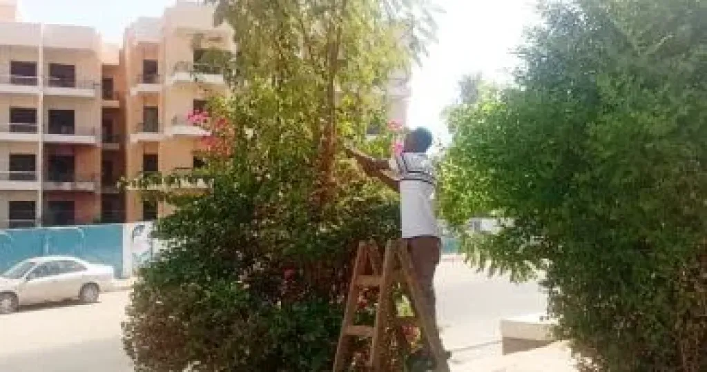 حملات متتالية لرفع الإشغالات وتنفيذ خطط النظافة العامة بأسوان