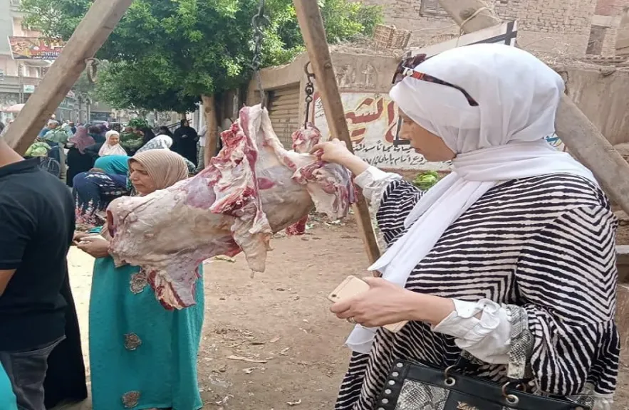 تموين الدقهلية يُحرر 110 مخالفات ويضبط لحومًا مجهولة المصدر
