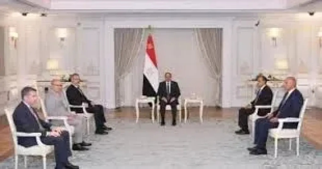 مصر وتركيا تؤكدان السعى للوصول إلى حجم تبادل تجارى يبلغ 15 مليار دولار