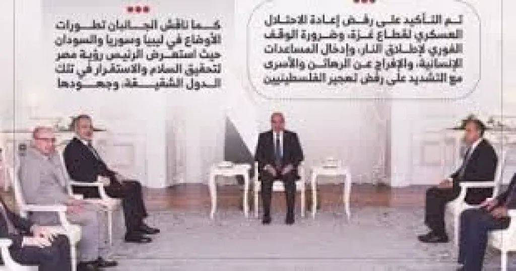 مصر وتركيا تؤكدان رفض إعادة الاحتلال العسكرى لغزة وضرورة وقف إطلاق النار (إنفوجراف)