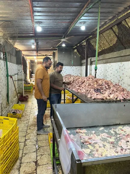 محافظة الجيزة: ضبط ١٣٫٥ طن لحوم ودواجن ومنتجات حيوانية فاسدة ببعض الاحياء  وتحرير محاضر للمخالفين