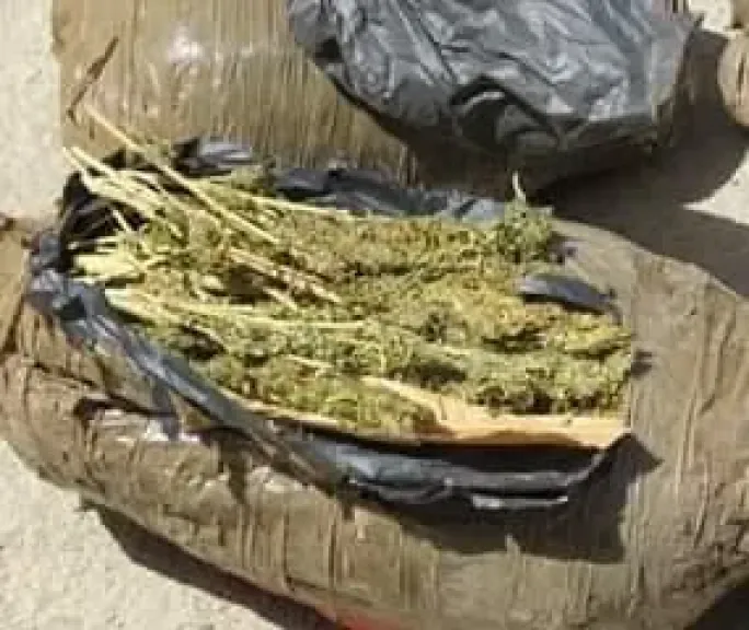 بانجو وهيدرو.. الداخلية تحبط صفقات مخدرات في دمياط