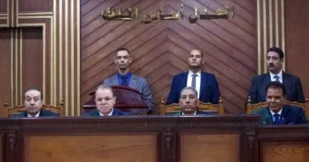 تأجيل محاكمة المتهمين بالخلية الإعلامية لجلسة 14 سبتمبر للمرافعة