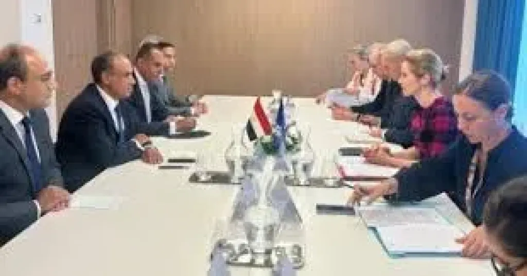 وزير الخارجية يستعرض جهود مصر لوقف إطلاق النار فى غزة
