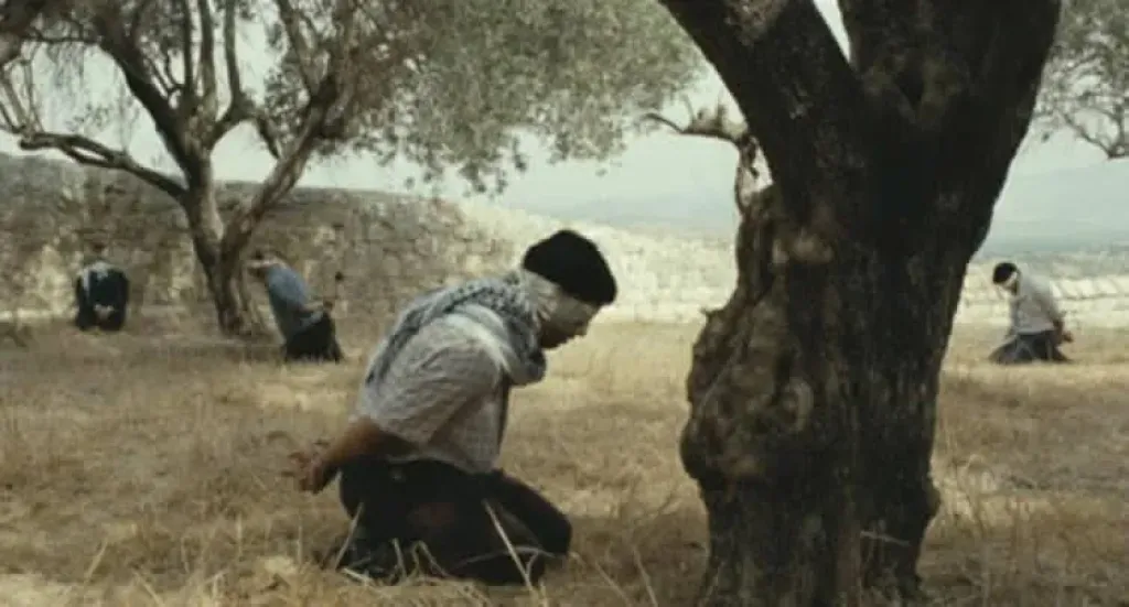 ‏من نابلس إلى غزة.. أفلام تحكي وجع الأرض ومعاناة الفلسطينيين من الاحتلال| صور