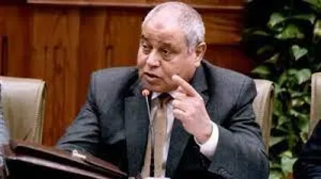 نظير: يطالب الحكومة بخطة عاجلة لمواجهة انتشار الكلاب الضالة بعد وصول أعدادها إلى 40 مليون