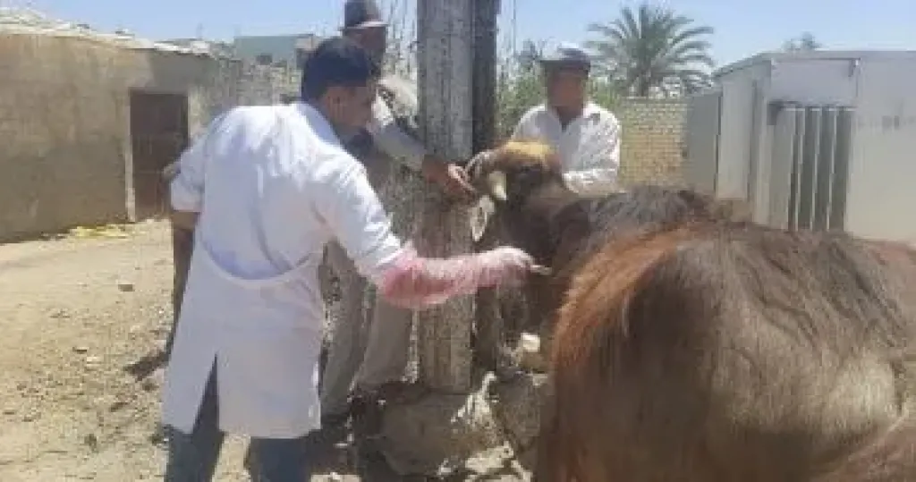 قافلة بدمياط 