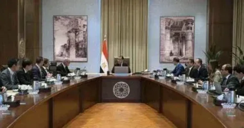 50 ألف جنيه غرامة تزوير.. شروط جديدة لسيارة المعاقين في مصر