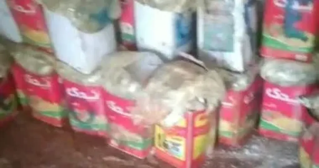 ضبط 3 أطنان أسماك مملحة فاسدة بأسوان