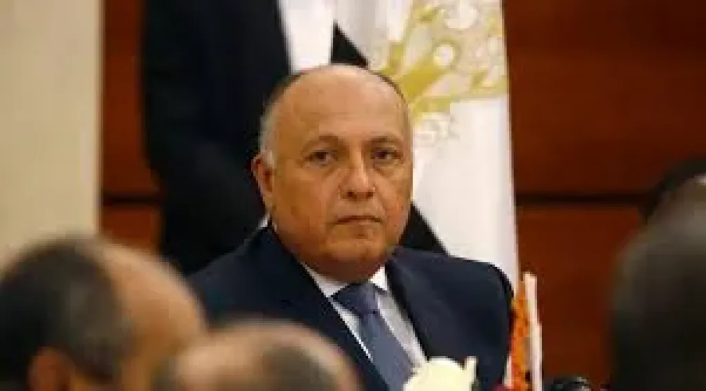 وزير الخارجية: ندافع عن حدودنا بما يتماشى مع اتفاقية السلام مع إسرائيل