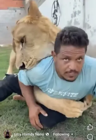بالفيديو .. المصري علاء .. بين غربة العمل و إهانة الكرامة