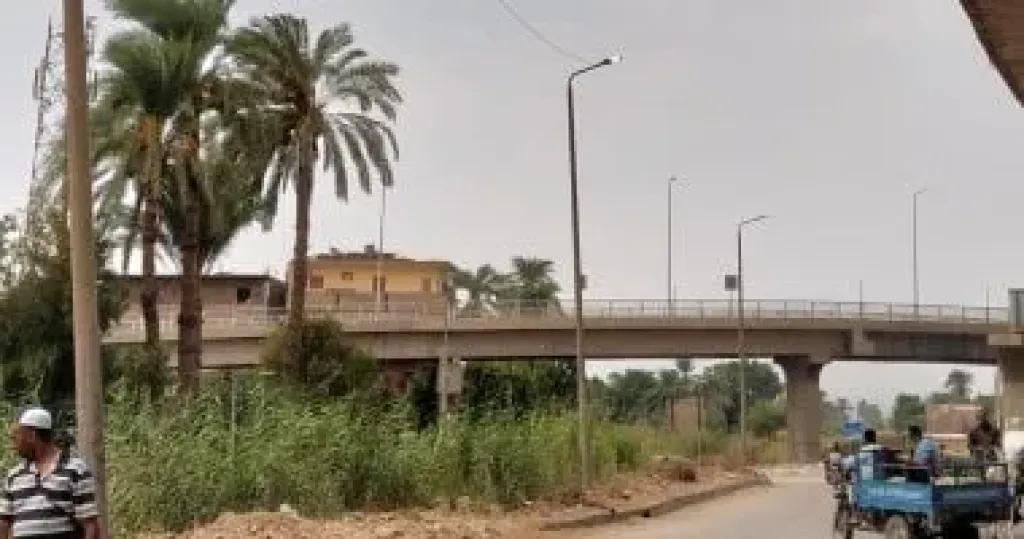 إنارة 37 عمودا بمحيط كوبرى مدينة البياضية وإزالة بناء مخالف بنجع الطويل فى الأقصر
