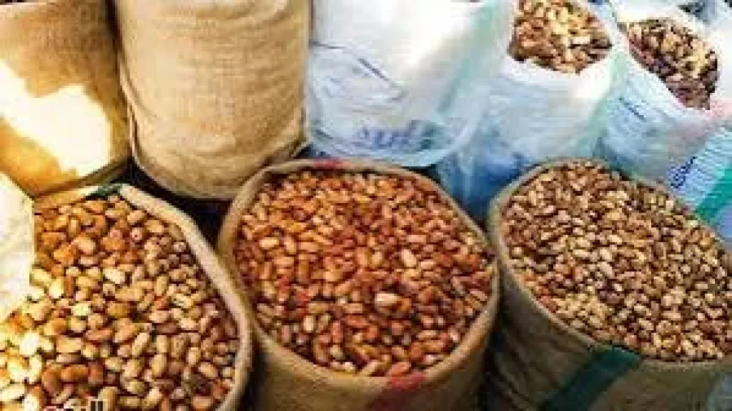 أسعار البلح السيوى والأنواع الأخرى بأسواق مطروح اليوم الإثنين 18-8-2025