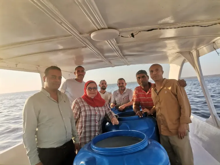 إطلاق الدفعة الرابعة من يرقات الجمبري في بحيرة قارون ضمن خطة تنميتها