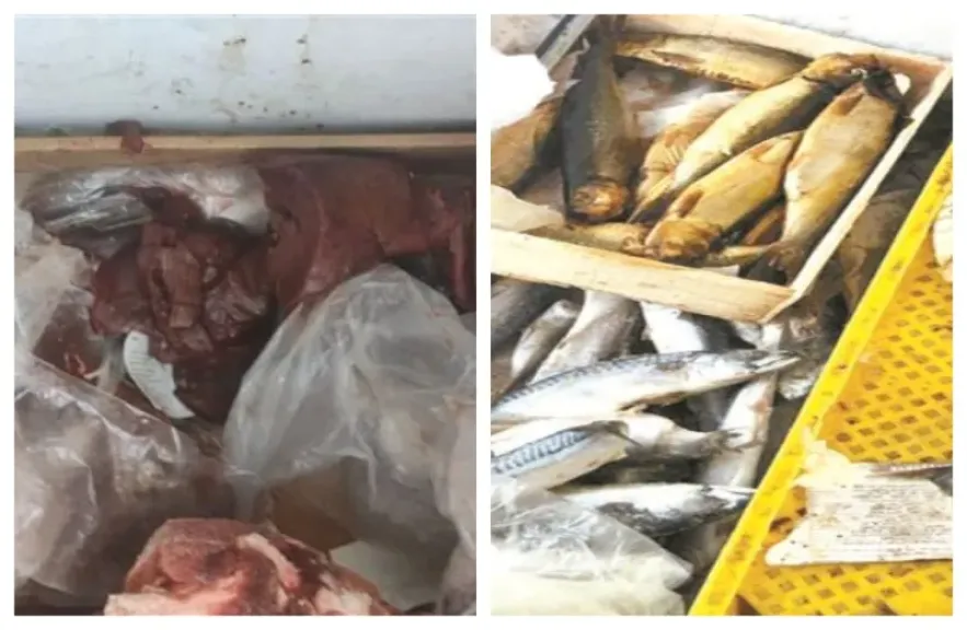 ضبط طن و300 كيلو لحوم وأسماك منتهية الصلاحية بالشرقية