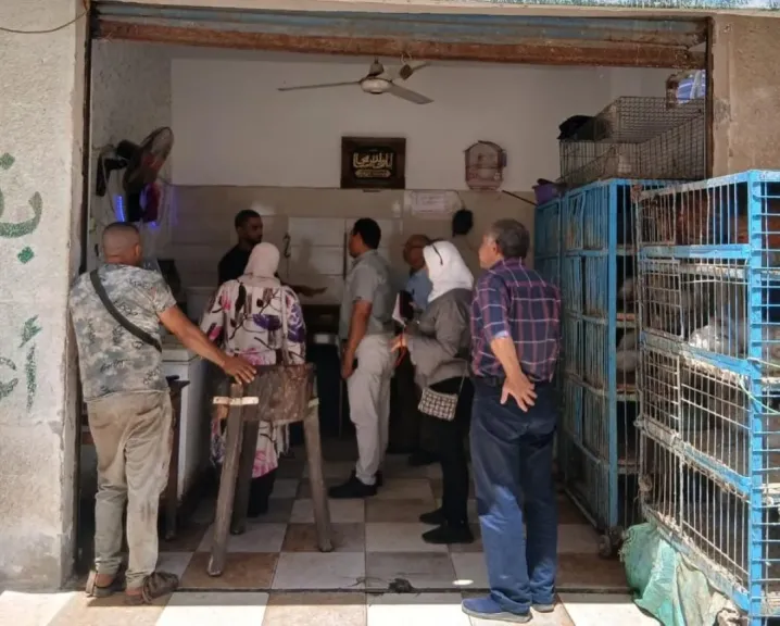 حملات على محلات الجزارة والدواجن بمرسى مطروح