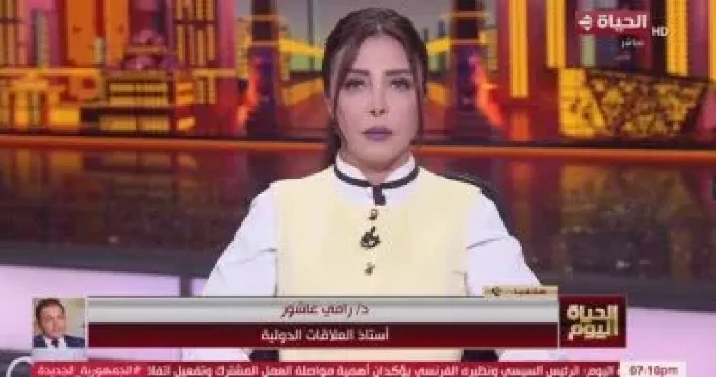 أستاذ بالعلاقات الدولية: حماس وافقت على مقترح الهدنة بضغوط مصرية وقطرية