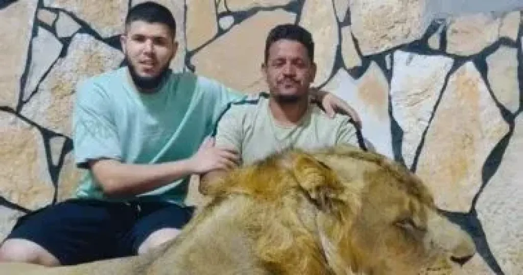 النائب العام الليبى يقرر حبس صاحب مزرعة أطلق أسده على عامل مصرى