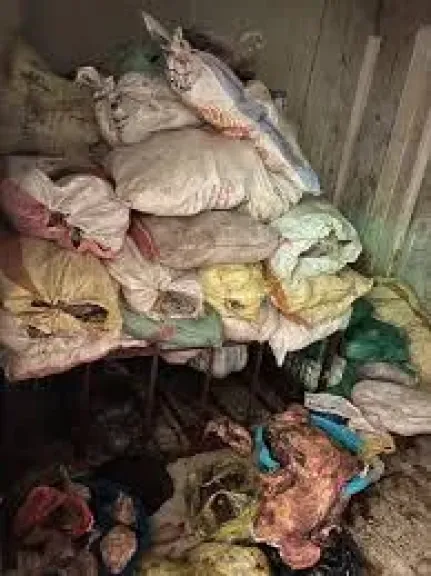 ضبط 3 أطنان أحشاء حيوانية غير صالحة للاستهلاك الآدمى فى أوسيم..ضبط 3 أطنان أحشاء حيوانية غير صالحة للاستهلاك الآدمى فى أوسيم..