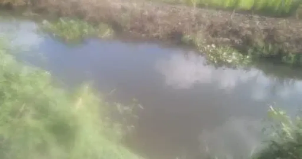 ترعه