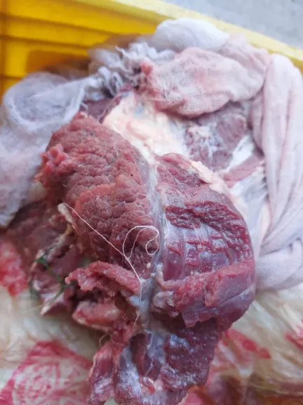 محافظ أسيوط: ضبط لحوم وسلع غذائية فاسدة وتحرير 260 محضرًا