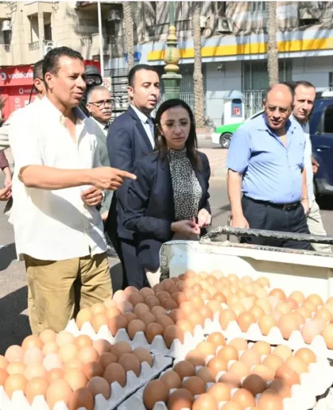 محافظ البحيرة توفير 12سيارة محملة  بـ1000 طبق بيض مائدة لتخفيف الأعباء عن كاهل المواطنين