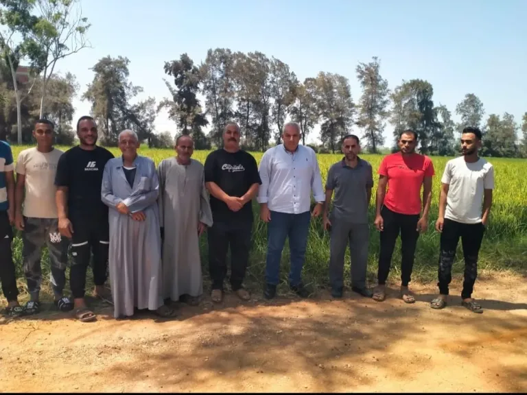 زراعة الشرقية : يوم حقلى لترشيد المياة فى زراعة الارز