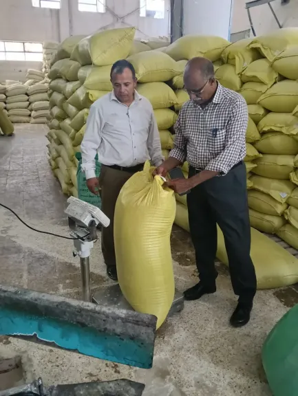 تحرير 263 مخالفة تموينية في كفر الشيخ