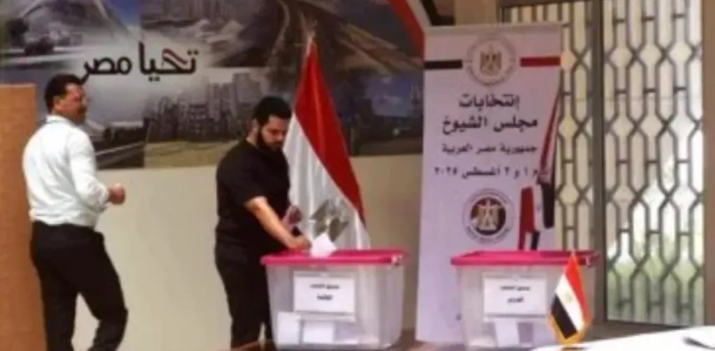 بدء تصويت المصريين بفرنسا فى جولة الإعادة بانتخابات مجلس الشيوخ