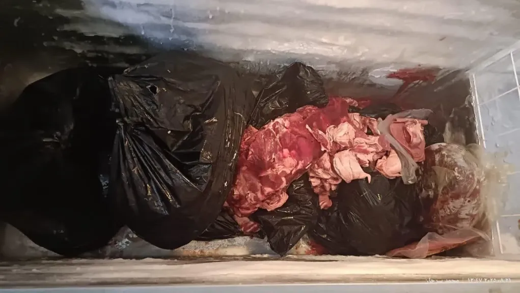 ضبط 5.5 طن ملح غير مطابق و57 كجم لحوم فاسدة في حملات لصحة الدقهلية | صور
