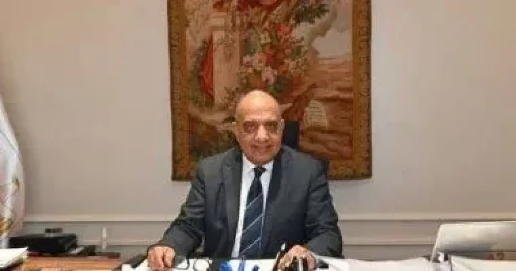 وزير الكهرباء
