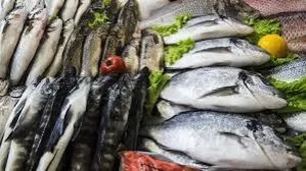 سعر السمك اليوم، انخفاض 4 أصناف أكبرها الجمبري وأقلها البلطي