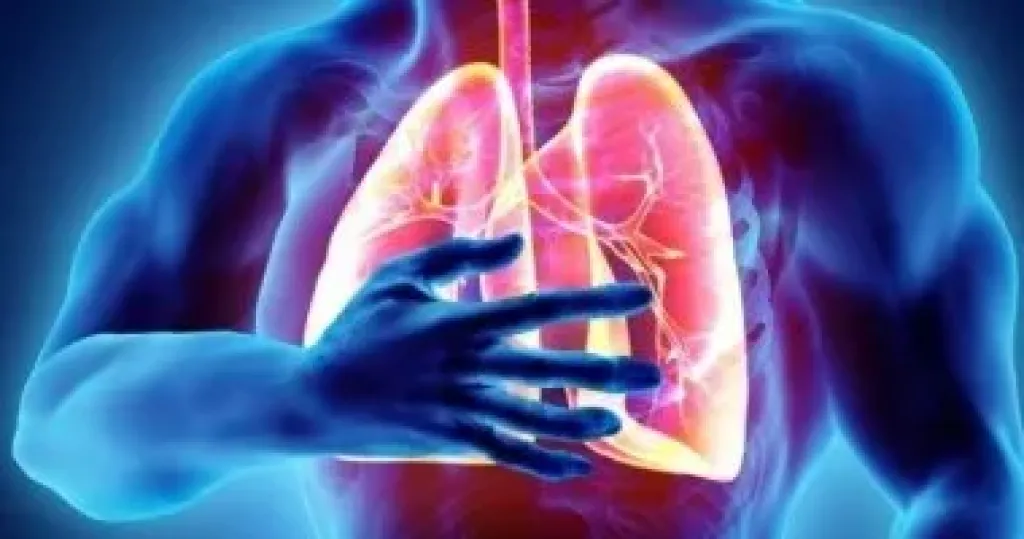 لأول مرة.. نجاح تجربة زراعة رئة خنزير لمريض متوفى دماغيا