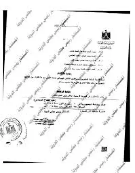 قرار جمهورى بتعيين 207 مندوبين مساعدين بمجلس الدولة من دفعة 2021