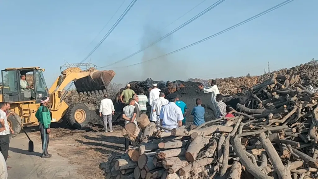 إزالة 13 مكمورة فحم مخالفة على مساحة 1300 متر خلال حملة بيئية مكبرة بالدلنجات