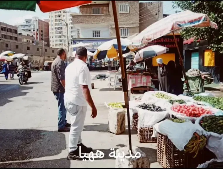حملات يومية لإزالة تعديات البناء والإشغالات بمراكز الشرقية
