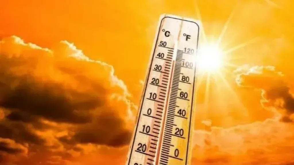 الأرصاد: غدًا طقس حار نهارًا مائل للحرارة ليلًا.. والعظمى بالقاهرة 35
