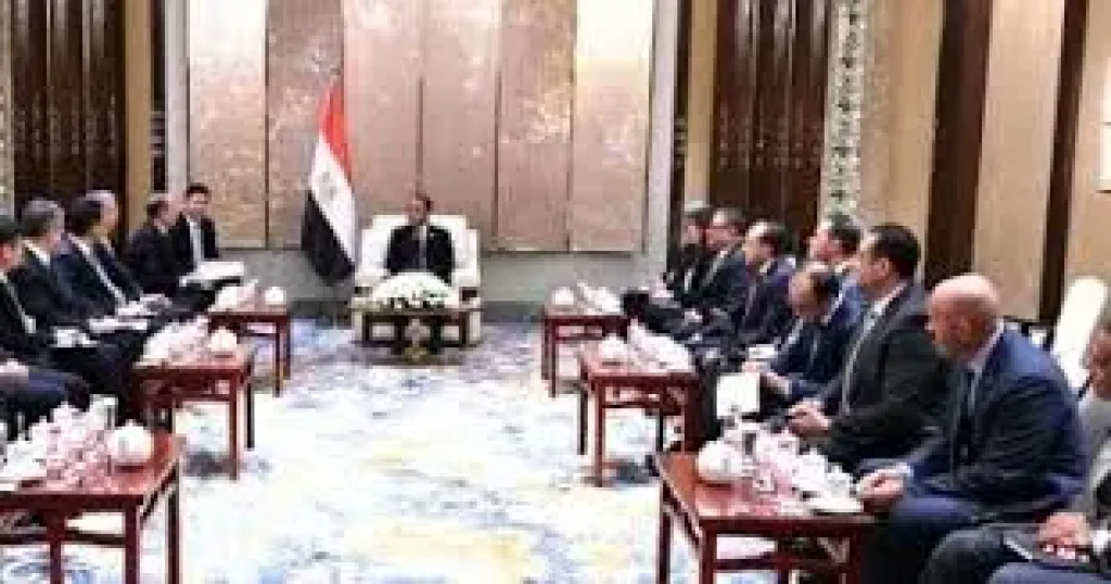 رئيس الوزراء: الدولة توفر الكثير من المزايا والحوافز للمستثمرين الأجانب والمحليين