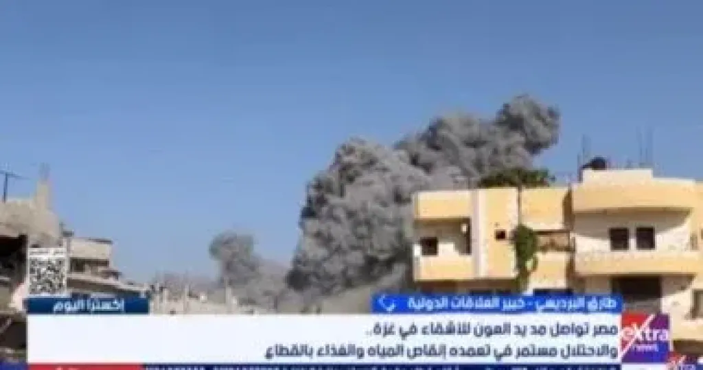 طارق البرديسى: لابد من إرادة دولية لوقف حرب الإبادة بغزة