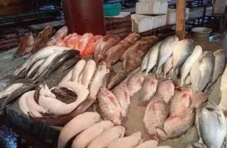 سعر السمك اليوم، انخفاض البلطي وارتفاع البوري والجمبري في سوق العبور