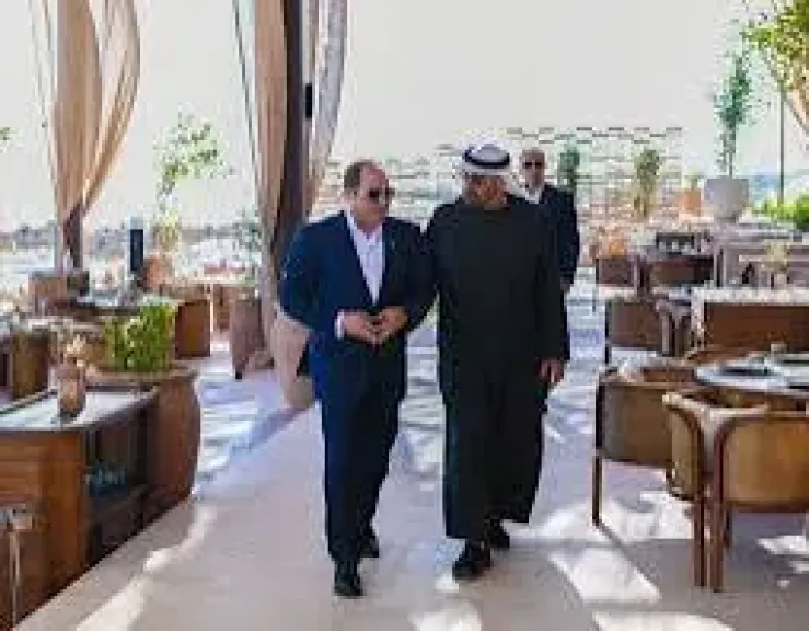 نشاط الرئيس السيسى فى النصف الثانى من أغسطس.. زيارة السعودية ولقاء بن زايد بالعلمين الأبرز