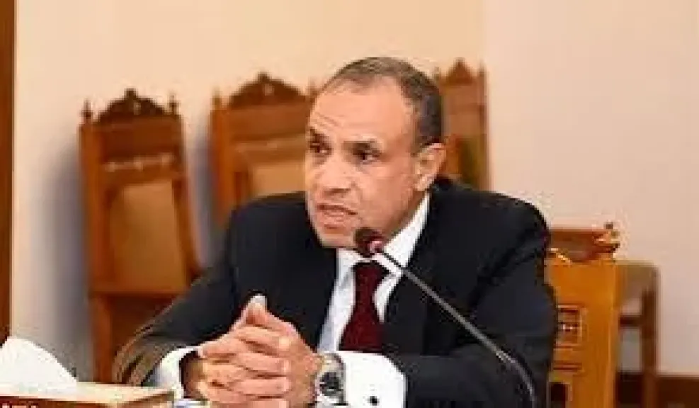 وزير الخارجية يطالب ممثلة الاتحاد الأوروبي بوضع حد للجرائم الإسرائيلية في غزة