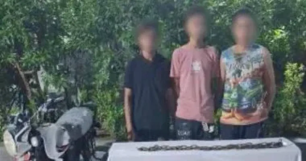 القبض على 3 شباب اعتدوا على سيدة بجنزير فى الجيزة